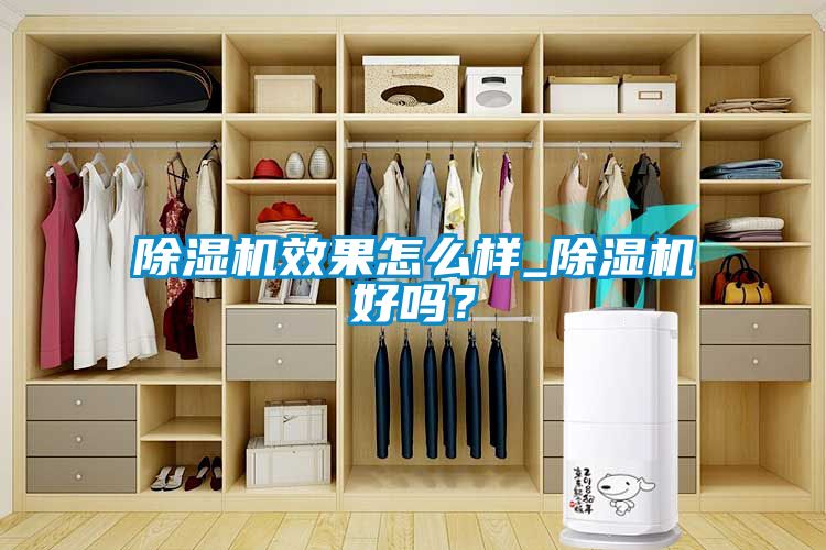 除濕機(jī)效果怎么樣_除濕機(jī)好嗎？