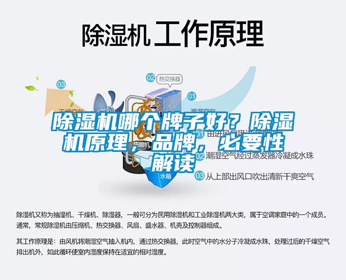 除濕機(jī)哪個(gè)牌子好？除濕機(jī)原理，品牌，必要性解讀