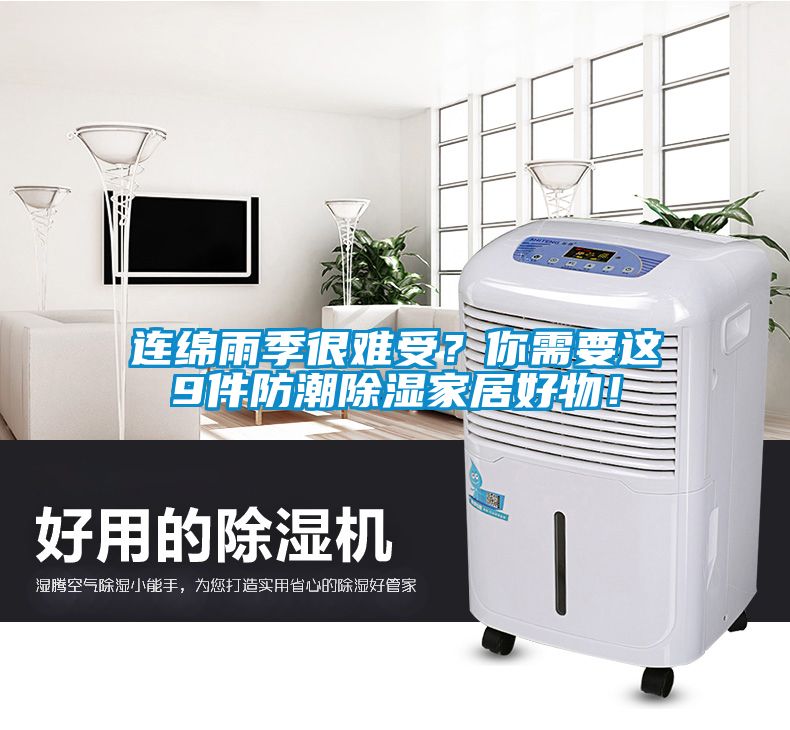 連綿雨季很難受？你需要這9件防潮除濕家居好物！