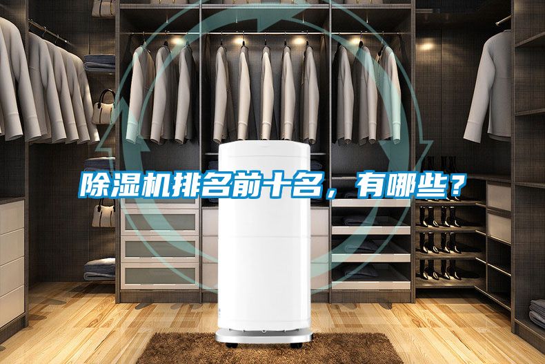 除濕機排名前十名，有哪些？