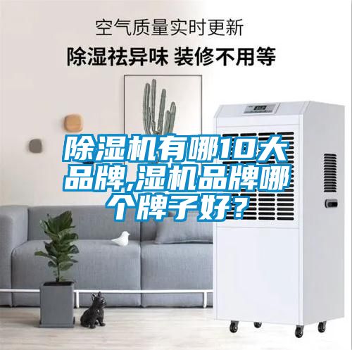 除濕機有哪10大品牌,濕機品牌哪個牌子好？