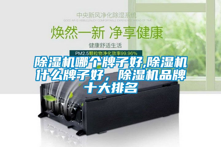 除濕機(jī)哪個(gè)牌子好,除濕機(jī)什么牌子好，除濕機(jī)品牌十大排名
