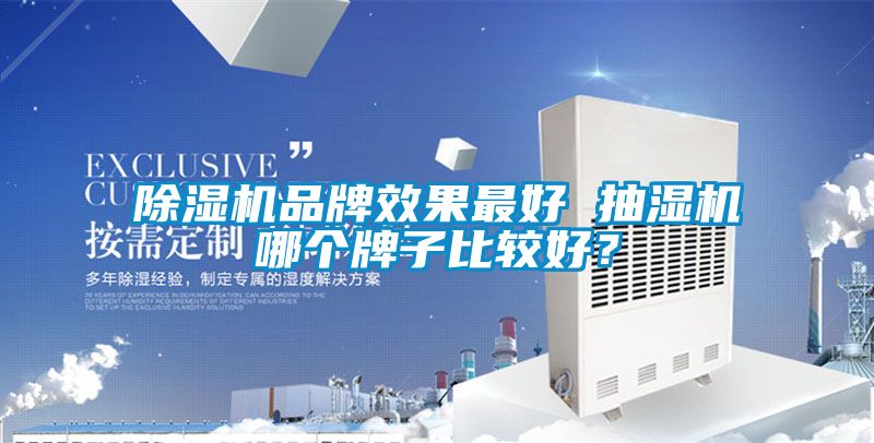 除濕機(jī)品牌效果最好 抽濕機(jī)哪個(gè)牌子比較好？