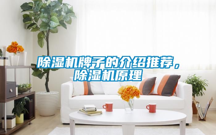 除濕機(jī)牌子的介紹推薦，除濕機(jī)原理