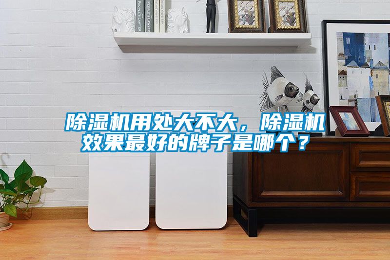 除濕機(jī)用處大不大，除濕機(jī)效果最好的牌子是哪個(gè)？