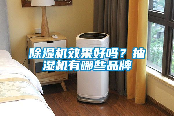 除濕機效果好嗎？抽濕機有哪些品牌