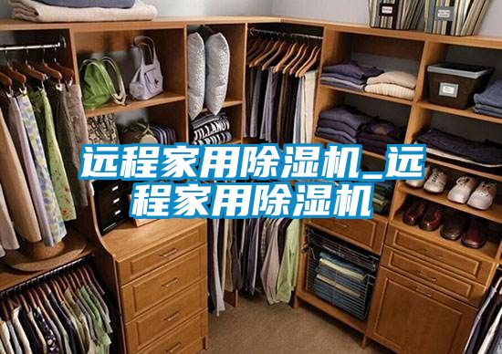 遠(yuǎn)程家用除濕機_遠(yuǎn)程家用除濕機