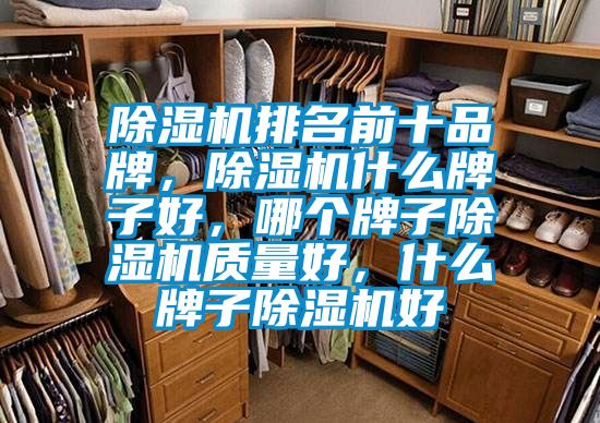 除濕機(jī)排名前十品牌，除濕機(jī)什么牌子好，哪個(gè)牌子除濕機(jī)質(zhì)量好，什么牌子除濕機(jī)好