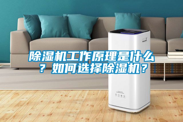 除濕機(jī)工作原理是什么？如何選擇除濕機(jī)？