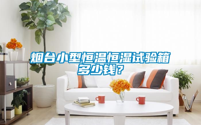 煙臺小型恒溫恒濕試驗箱多少錢？