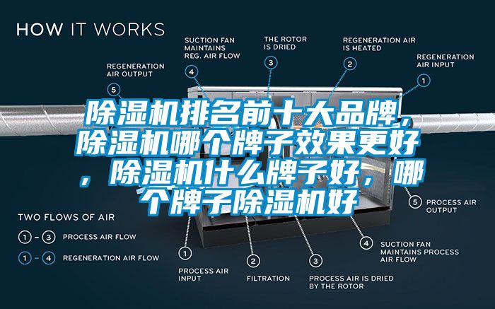 除濕機(jī)排名前十大品牌，除濕機(jī)哪個牌子效果更好，除濕機(jī)什么牌子好，哪個牌子除濕機(jī)好