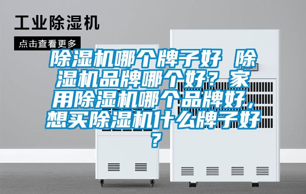 除濕機哪個牌子好 除濕機品牌哪個好？家用除濕機哪個品牌好，想買除濕機什么牌子好？