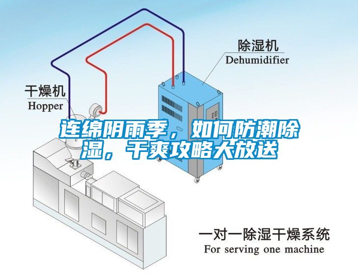 連綿陰雨季，如何防潮除濕，干爽攻略大放送