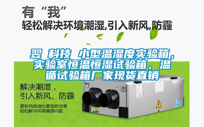 翌昇科技 小型溫濕度實驗箱，實驗室恒溫恒濕試驗箱，溫循試驗箱廠家現(xiàn)貨直銷