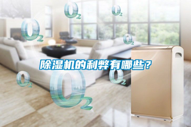除濕機(jī)的利弊有哪些？
