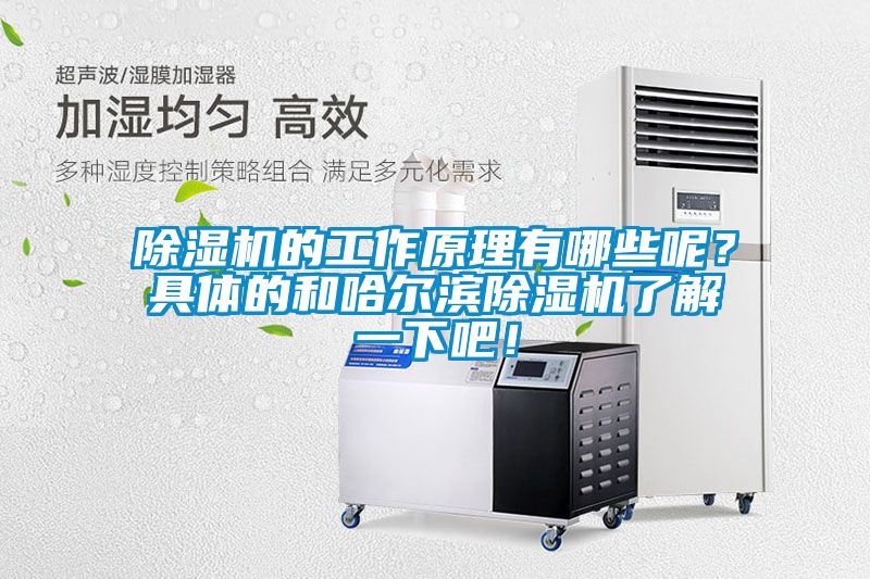 除濕機(jī)的工作原理有哪些呢？具體的和哈爾濱除濕機(jī)了解一下吧！