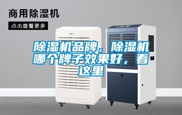 除濕機(jī)品牌，除濕機(jī)哪個(gè)牌子效果好，看這里