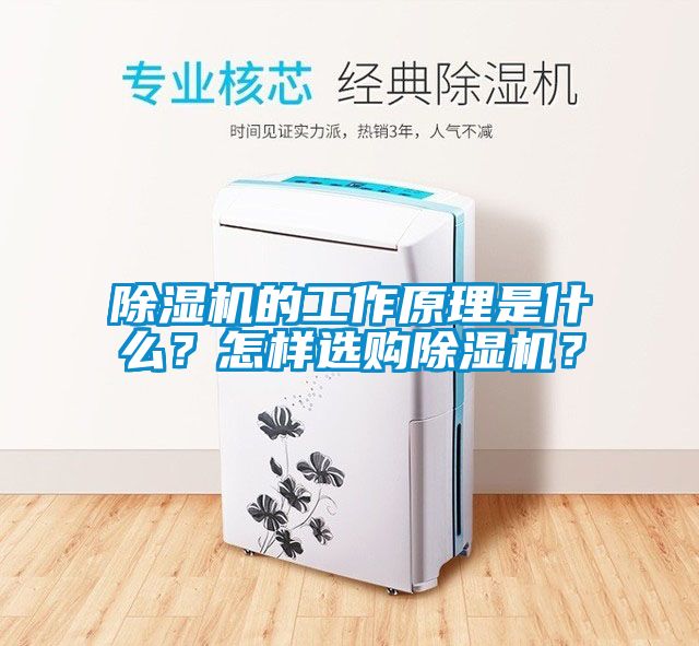 除濕機(jī)的工作原理是什么？怎樣選購(gòu)除濕機(jī)？