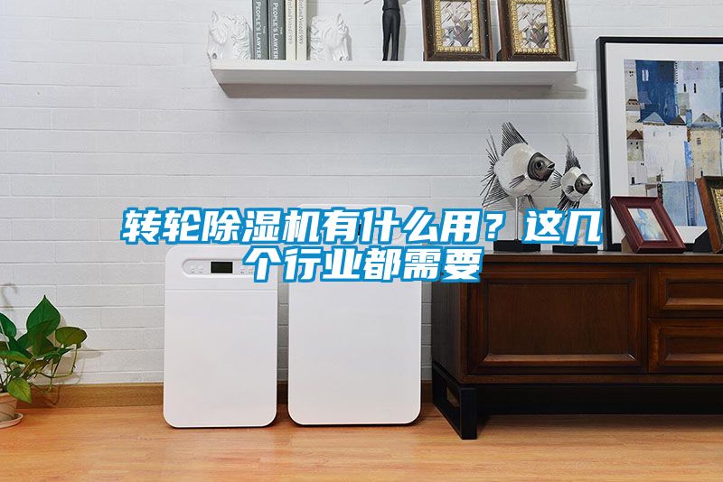 轉(zhuǎn)輪除濕機(jī)有什么用？這幾個(gè)行業(yè)都需要