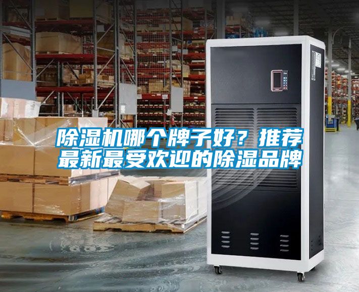 除濕機哪個牌子好？推薦最新最受歡迎的除濕品牌