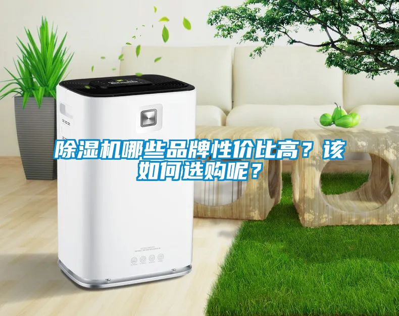 除濕機(jī)哪些品牌性價(jià)比高？該如何選購(gòu)呢？