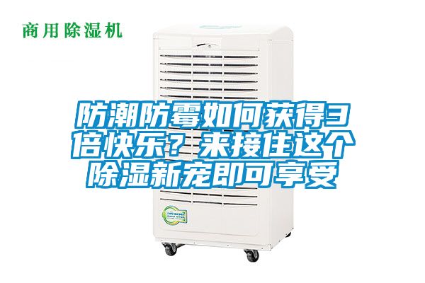 防潮防霉如何獲得3倍快樂？來接住這個除濕新寵即可享受