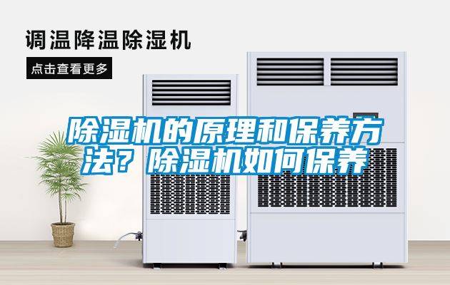 除濕機(jī)的原理和保養(yǎng)方法？除濕機(jī)如何保養(yǎng)