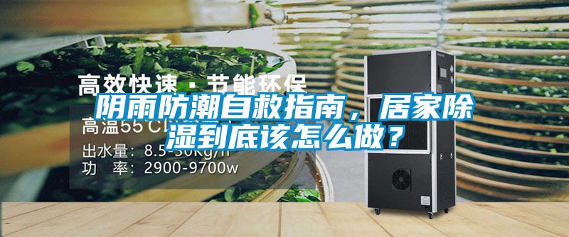 陰雨防潮自救指南，居家除濕到底該怎么做？