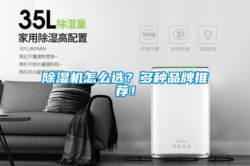 除濕機(jī)怎么選？多種品牌推薦！