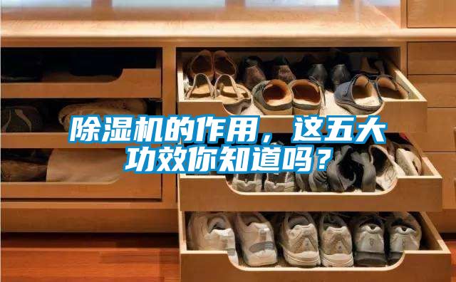 除濕機(jī)的作用，這五大功效你知道嗎？