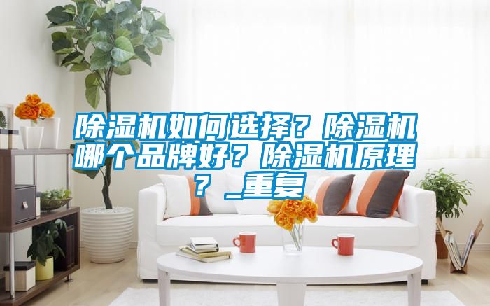 除濕機如何選擇？除濕機哪個品牌好？除濕機原理？_重復