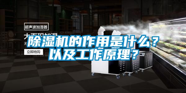 除濕機(jī)的作用是什么？以及工作原理？