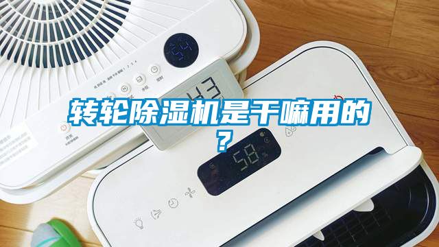 轉(zhuǎn)輪除濕機(jī)是干嘛用的？