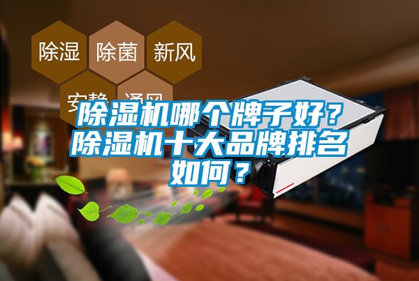 除濕機(jī)哪個(gè)牌子好？除濕機(jī)十大品牌排名如何？