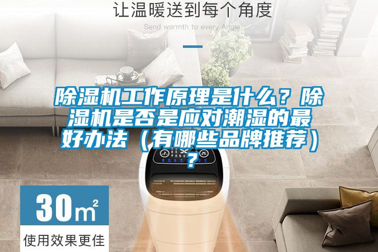除濕機(jī)工作原理是什么？除濕機(jī)是否是應(yīng)對(duì)潮濕的最好辦法（有哪些品牌推薦）？