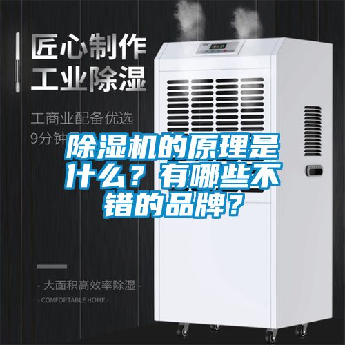 除濕機的原理是什么？有哪些不錯的品牌？