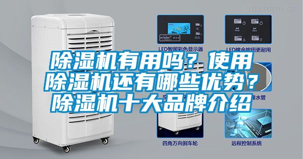 除濕機(jī)有用嗎？使用除濕機(jī)還有哪些優(yōu)勢？除濕機(jī)十大品牌介紹