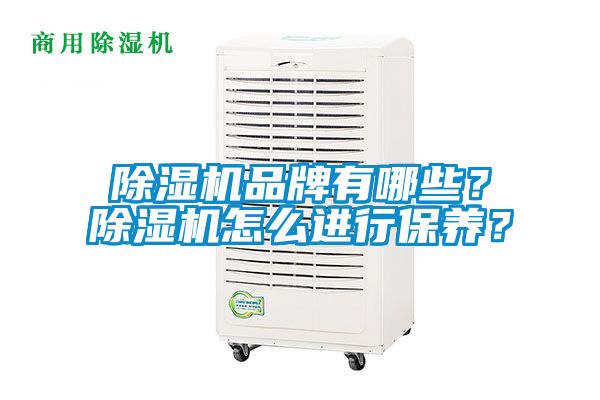 除濕機(jī)品牌有哪些？除濕機(jī)怎么進(jìn)行保養(yǎng)？