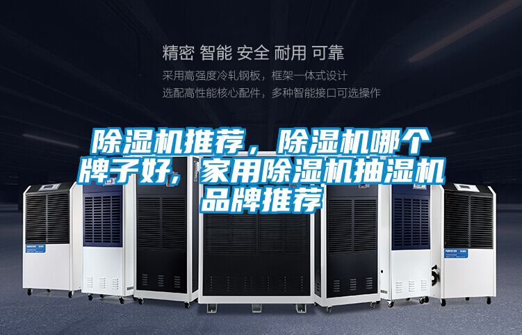 除濕機(jī)推薦，除濕機(jī)哪個牌子好, 家用除濕機(jī)抽濕機(jī)品牌推薦
