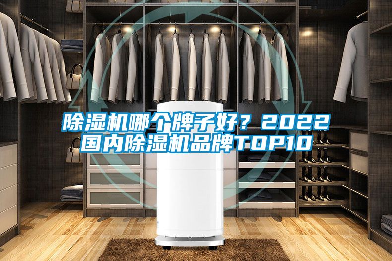 除濕機哪個牌子好？2022國內除濕機品牌TOP10