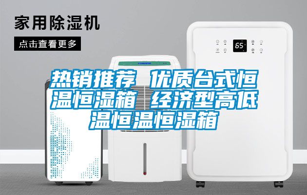 熱銷(xiāo)推薦 優(yōu)質(zhì)臺(tái)式恒溫恒濕箱 經(jīng)濟(jì)型高低溫恒溫恒濕箱