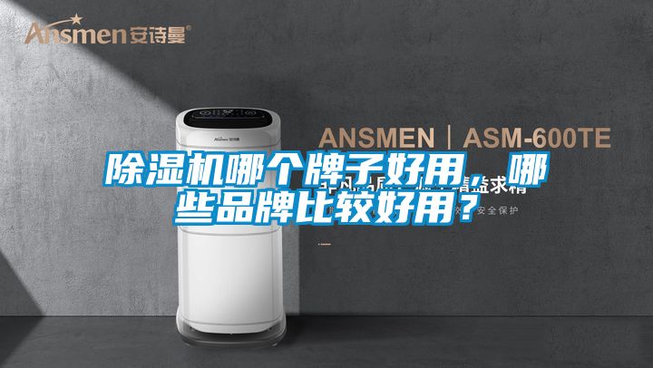 除濕機(jī)哪個(gè)牌子好用，哪些品牌比較好用？