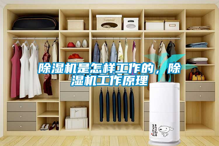除濕機是怎樣工作的，除濕機工作原理