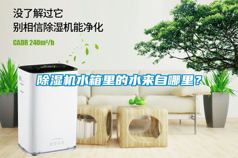 除濕機(jī)水箱里的水來自哪里？
