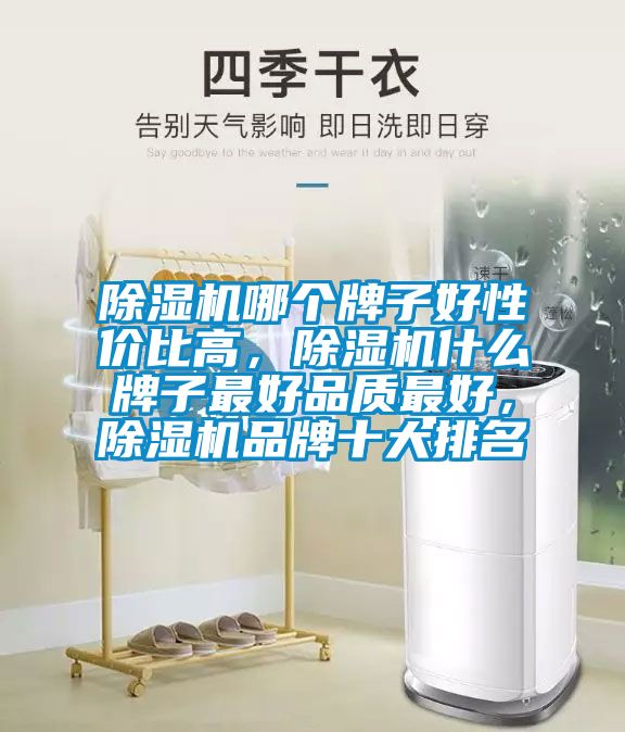 除濕機(jī)哪個(gè)牌子好性價(jià)比高，除濕機(jī)什么牌子最好品質(zhì)最好，除濕機(jī)品牌十大排名