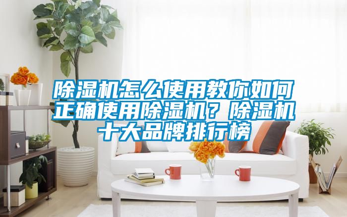 除濕機(jī)怎么使用教你如何正確使用除濕機(jī)？除濕機(jī)十大品牌排行榜