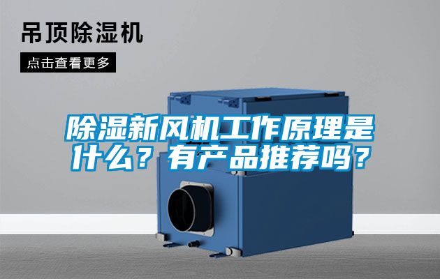 除濕新風(fēng)機工作原理是什么？有產(chǎn)品推薦嗎？