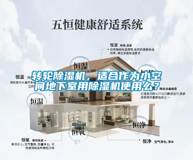 轉(zhuǎn)輪除濕機，適合作為小空間地下室用除濕機使用么？
