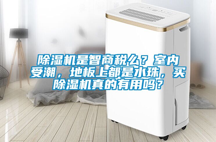 除濕機是智商稅么？室內受潮，地板上都是水珠，買除濕機真的有用嗎？