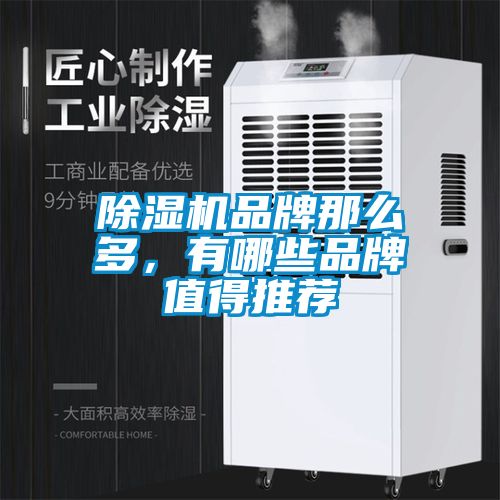 除濕機(jī)品牌那么多，有哪些品牌值得推薦